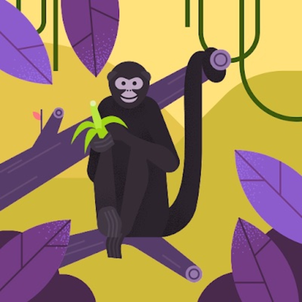 Meet your Posher, Rosa